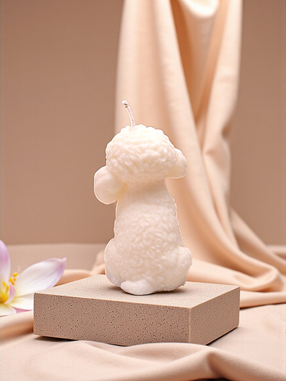 POODLE - DOG