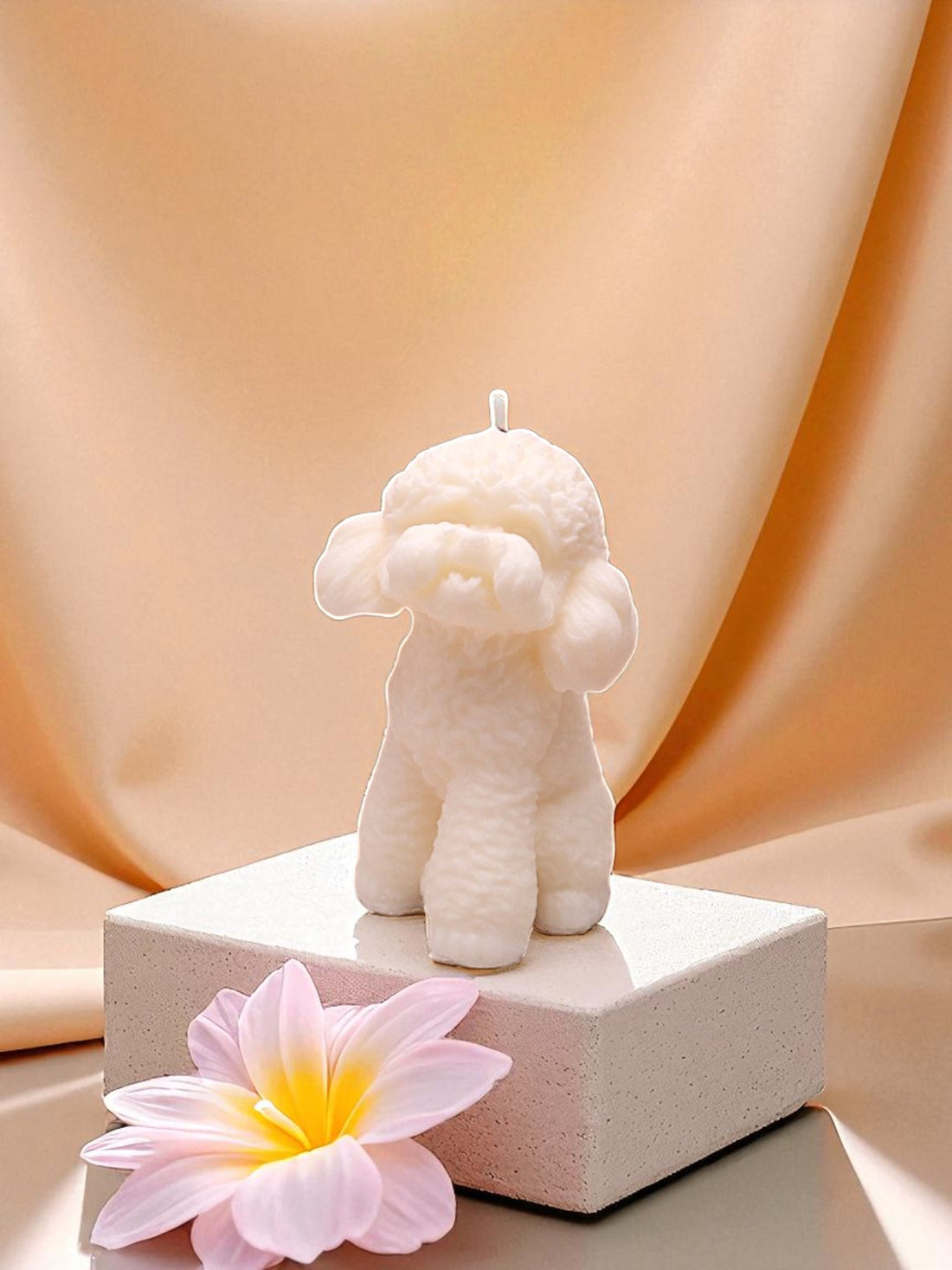 POODLE - DOG