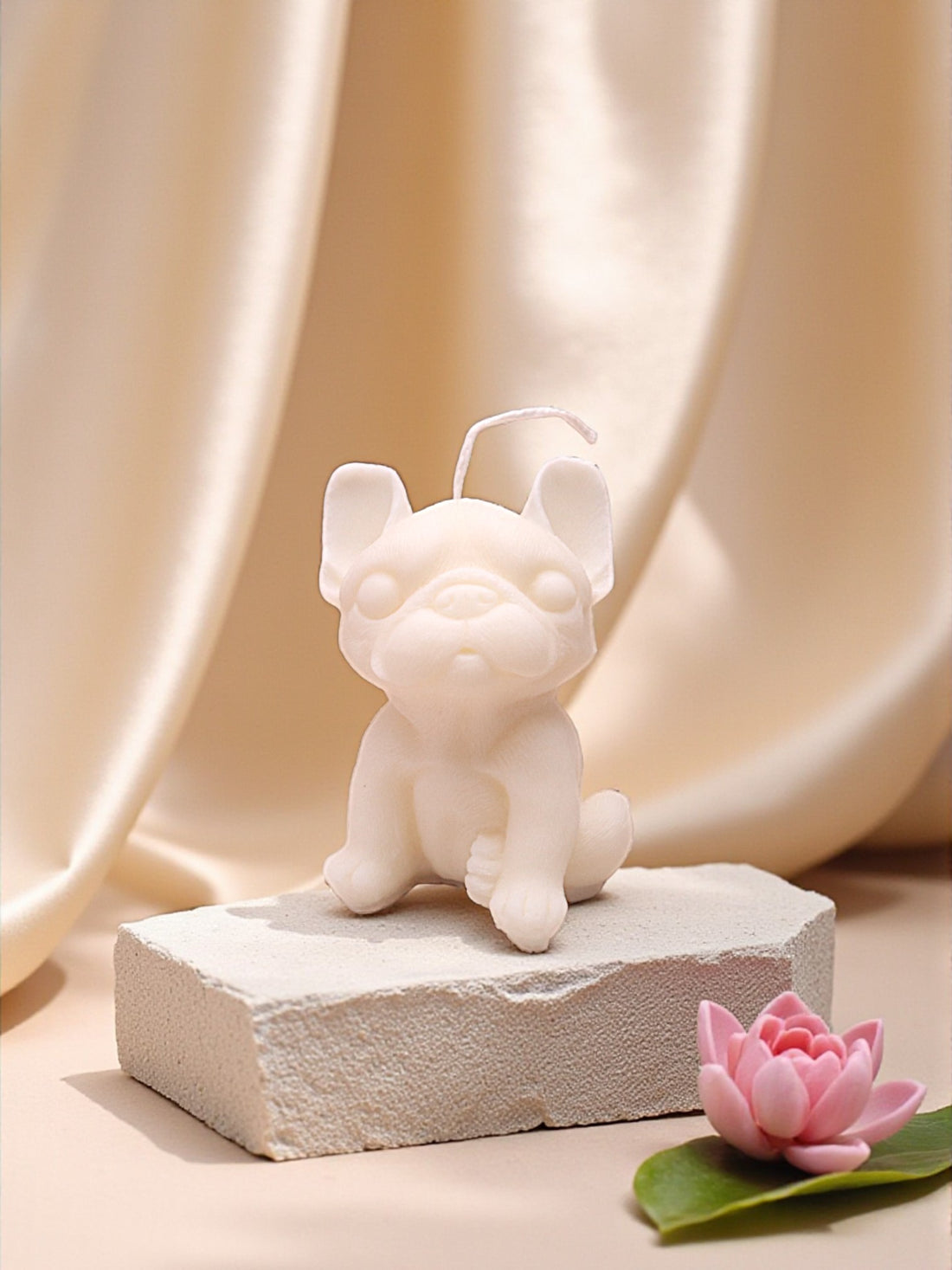 FRENCHIE - DOG